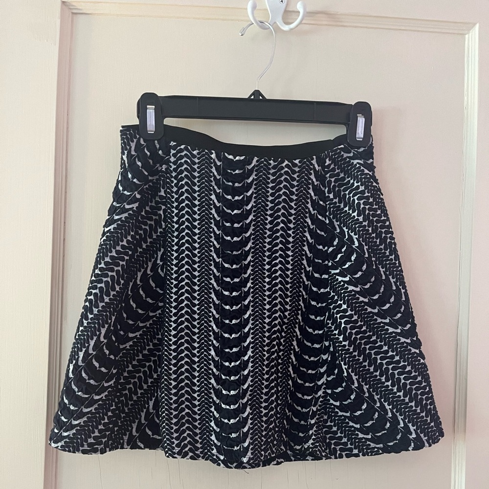 Zara Women’s skirt Medium